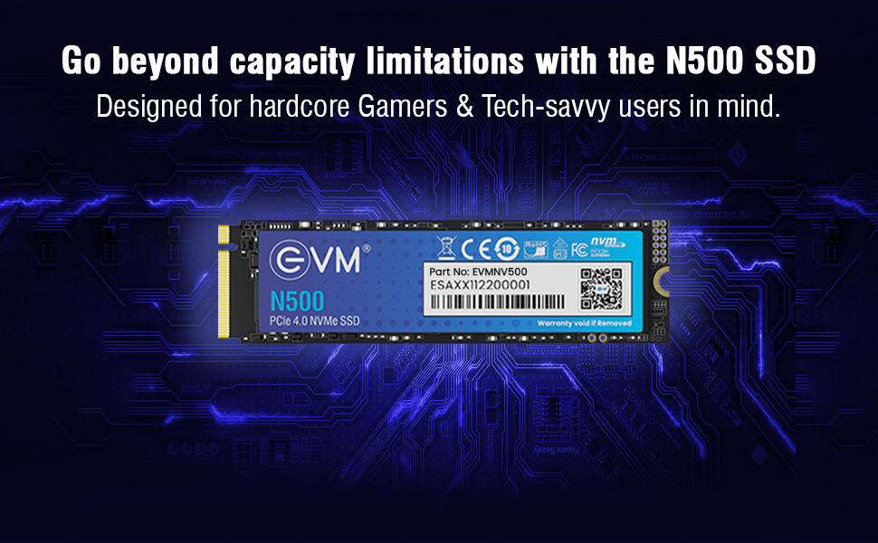 EVM 256GB NVMe SSD